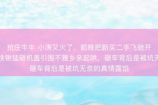 抢庄牛牛 小涛又火了，前晚把新买二手飞驰开到村头旷地，铁锹猛砸机盖引围不雅乡亲起哄，砸车背后是被坑无奈的真情露馅