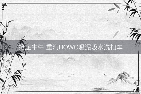 抢庄牛牛 重汽HOWO吸泥吸水洗扫车