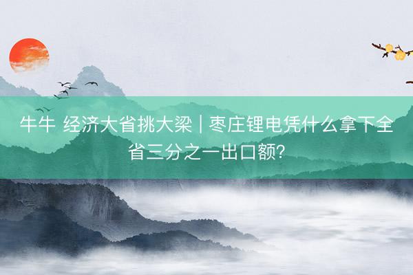 牛牛 经济大省挑大梁 | 枣庄锂电凭什么拿下全省三分之一出口额？