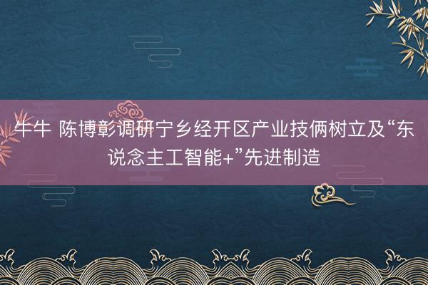 牛牛 陈博彰调研宁乡经开区产业技俩树立及“东说念主工智能+”先进制造