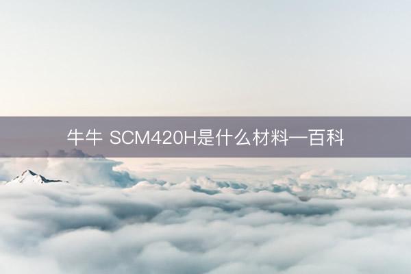 牛牛 SCM420H是什么材料—百科