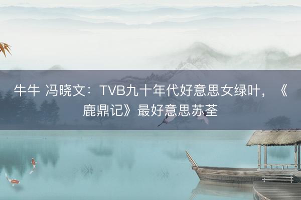 牛牛 冯晓文：TVB九十年代好意思女绿叶，《鹿鼎记》最好意思苏荃