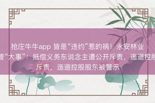 抢庄牛牛app 皆是“违约”惹的祸!永安林业一日遇两监管“大事”:抵偿义务东说念主遭公开斥责,迤逦控股股东被警示