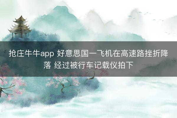 抢庄牛牛app 好意思国一飞机在高速路挫折降落 经过被行车记载仪拍下