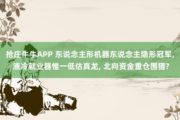 抢庄牛牛APP 东说念主形机器东说念主隐形冠军， 液冷就业器惟一低估真龙， 北向资金重仓围猎?