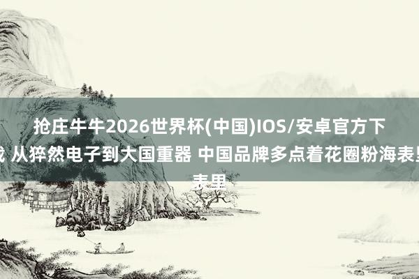 抢庄牛牛2026世界杯(中国)IOS/安卓官方下载 从猝然电子到大国重器 中国品牌多点着花圈粉海表里