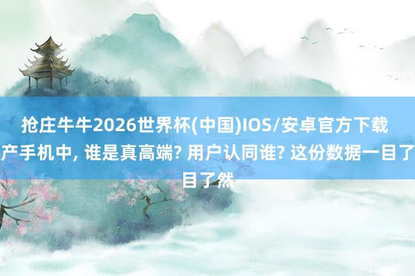 抢庄牛牛2026世界杯(中国)IOS/安卓官方下载 国产手机中， 谁是真高端? 用户认同谁? 这份数据一目了然
