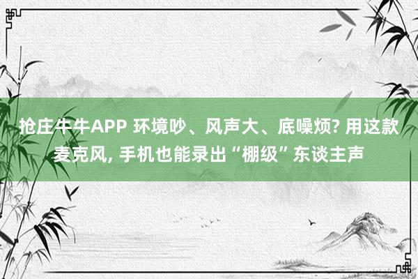 抢庄牛牛APP 环境吵、风声大、底噪烦? 用这款麦克风, 手机也能录出“棚级”东谈主声