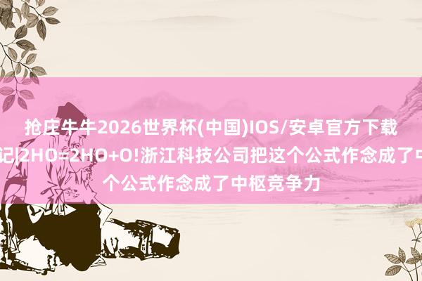 抢庄牛牛2026世界杯(中国)IOS/安卓官方下载 浙里寻新记|2HO=2HO+O!浙江科技公司把这个公式作念成了中枢竞争力
