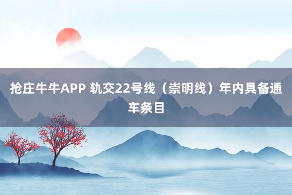 抢庄牛牛APP 轨交22号线（崇明线）年内具备通车条目