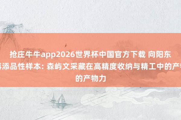 抢庄牛牛app2026世界杯中国官方下载 向阳东坝再添品性样本: 森屿文采藏在高精度收纳与精工中的产物力