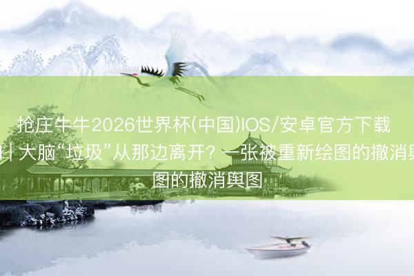 抢庄牛牛2026世界杯(中国)IOS/安卓官方下载 Cell | 大脑“垃圾”从那边离开? 一张被重新绘图的撤消舆图