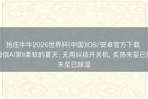抢庄牛牛2026世界杯(中国)IOS/安卓官方下载 被海信Ai家II柔软的夏天: 无用纠结开关机, 炙热未至已除湿