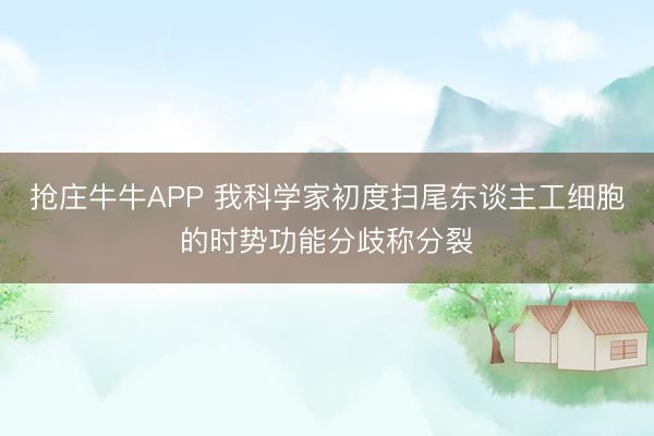 抢庄牛牛APP 我科学家初度扫尾东谈主工细胞的时势功能分歧称分裂