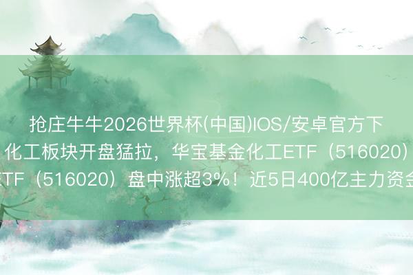 抢庄牛牛2026世界杯(中国)IOS/安卓官方下载 好意思伊公约完结！化工板块开盘猛拉，华宝基金化工ETF（516020）盘中涨超3%！近5日400亿主力资金涌入