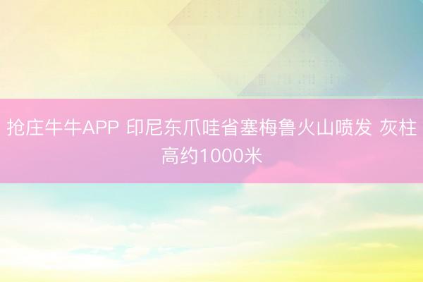抢庄牛牛APP 印尼东爪哇省塞梅鲁火山喷发 灰柱高约1000米